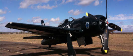 CAF Bearcat to Fly at Palm Springs